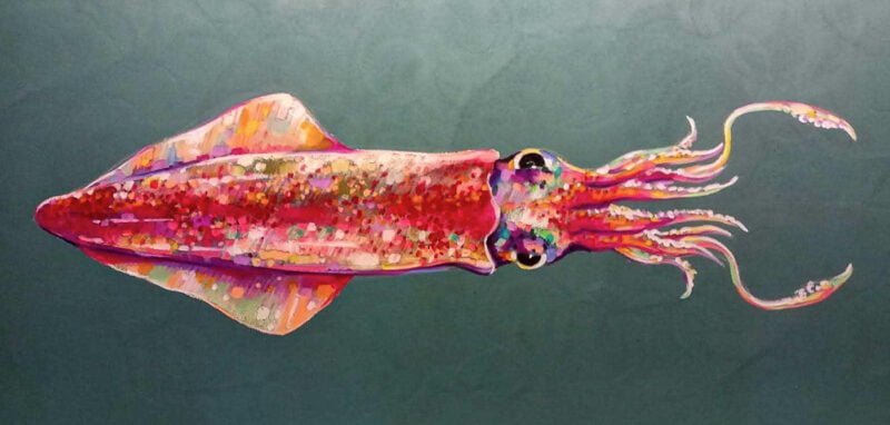 dipinto di un calamaro