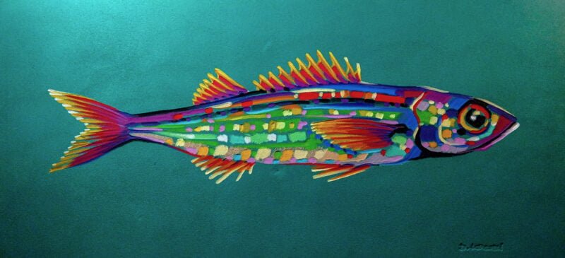 dipinto di un pesce